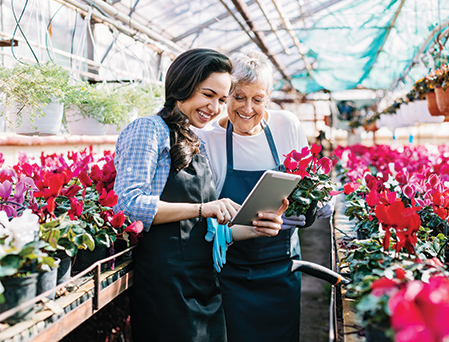 Two greenhouse workers, one older, one younger looking at tablet